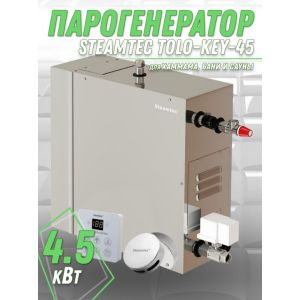 Парогенератор для хамама и турецкой бани Steamtec TOLO-45-KEY, 4.5 кВт