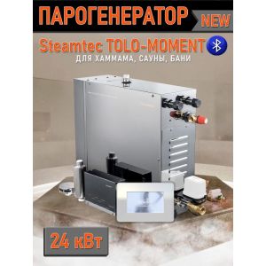 Парогенератор для хамама и турецкой бани Steamtec TOLO MOMENT 240, 24,0 кВт